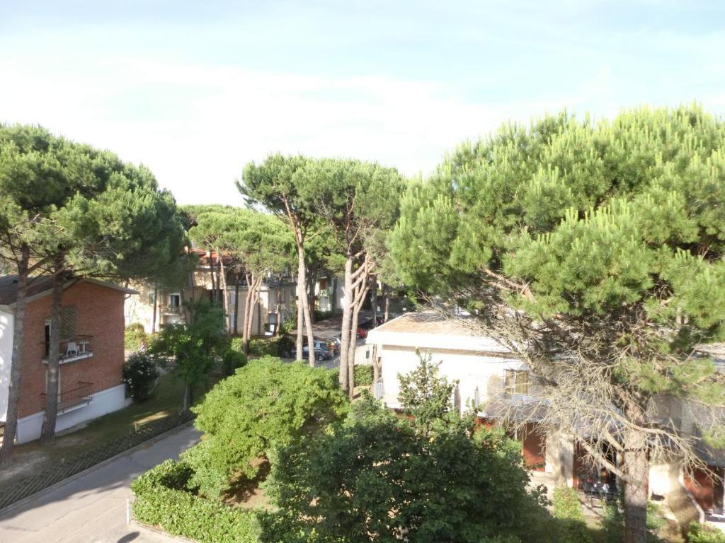 Delightful Surrounded By Nature *