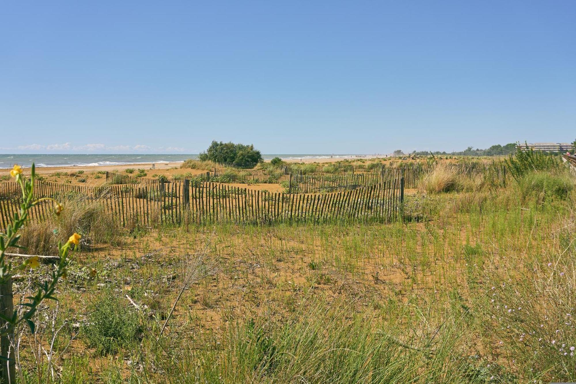 Delightful Surrounded By Nature Bibione